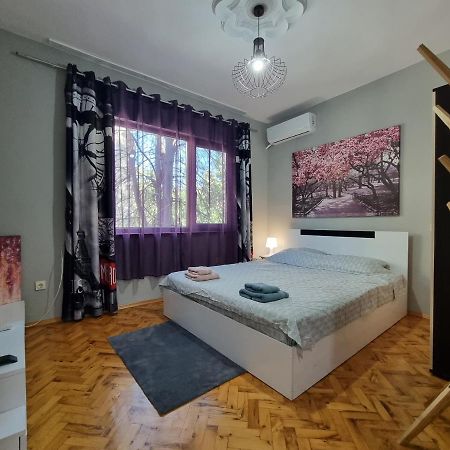 بورغاس Reni'S Apartment-With Private Parking In Center المظهر الخارجي الصورة